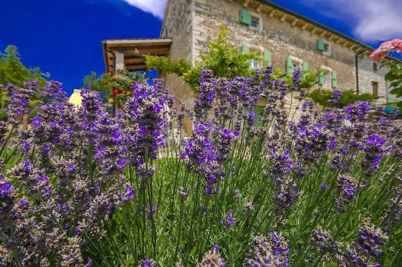 Rustic Villa Casa Mazuli With Pool In Grožnjan Chorvatsko